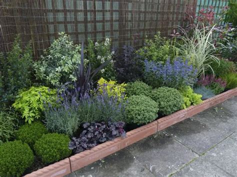 7 Low Maintenance Garden Border Plants And Ideas Betterlandscaping