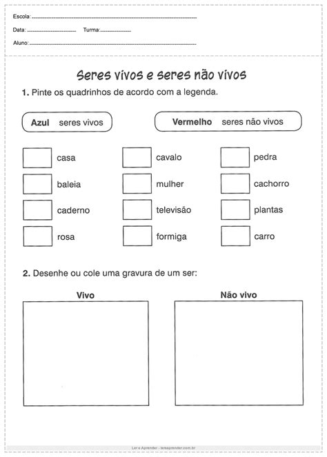 Atividade Seres Vivos E Não Vivos 4 Ano Modisedu