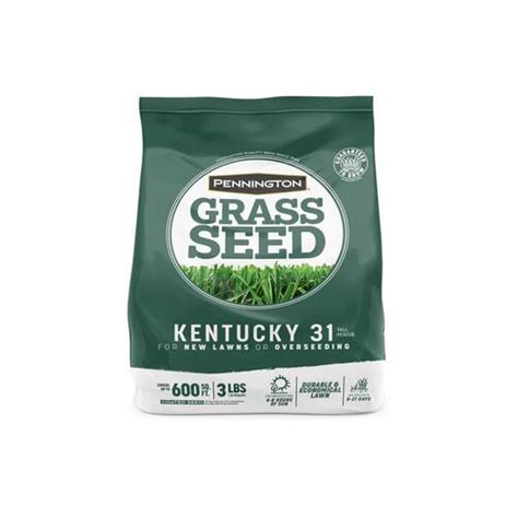 Pennington 100516048 Grass Seed Kentucky 31 Tall Fescue Grass Sun Or