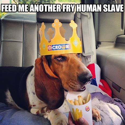 Feed Me Human Slave