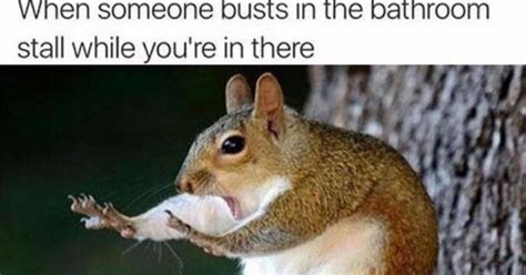 Laugh Out Loud With These Funny Squirrel Memes Squirrel Memes Cat Memes Funny Memes Funny