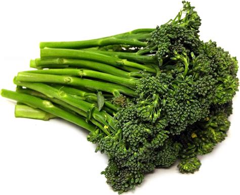 Organic Broccolini Seeds 25 Garden And Outdoor