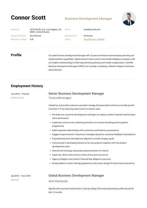 Sample Resume For International Business Development Manager Sutajoyob