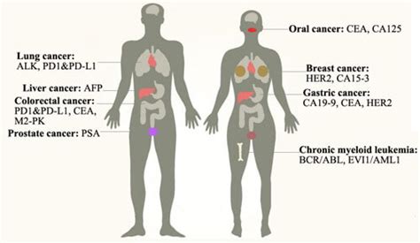 Tumor Markers Cusabio