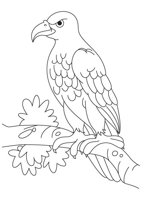 The bald eagle coloring page that depicts it is the only species of eagle that is unique to north america. Golden Eagle Coloring Page - Coloring Home