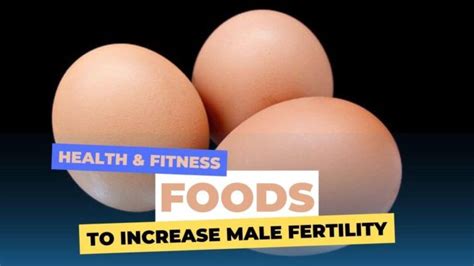 12 Foods To Increase Male Fertility Scientific Base 2024