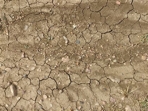Dirt With Mud Cracks Rocks And Weeds Texture Picture Free