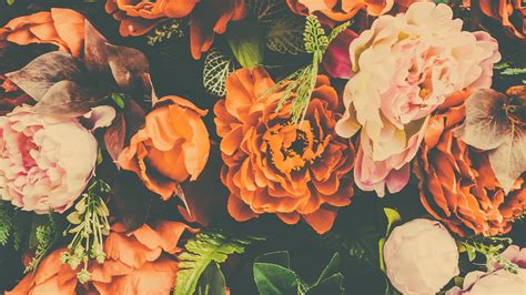 20 Outstanding Orange Aesthetic Wallpaper Desktop You Can Use It For
