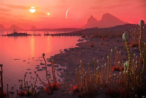 A Zoologist Imagines What Alien Life Might Look Like
