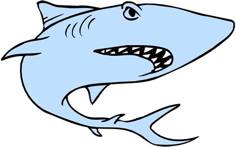 How To Draw A Cartoon Shark Easy Step By Drawing Guides Png