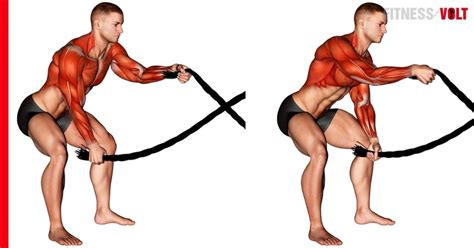 Battle Ropes Exercise How To Variations And Video Guide Fitness Volt