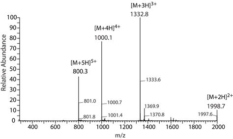 Esi Ms Peptide Interpretation Guide Cpc Scientific