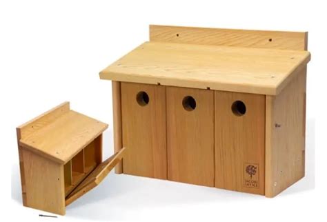 What Uk Birds Nest In Boxes A Guide To Uk Nest Boxes Birds In My