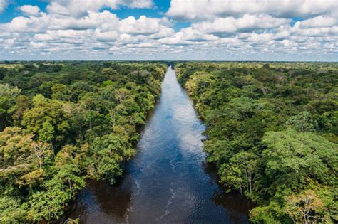 Exploring The Amazon River In Peru Aqua Expeditions