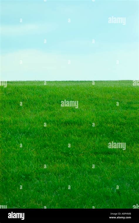 Grass Blue Sky Hi Res Stock Photography And Images Alamy