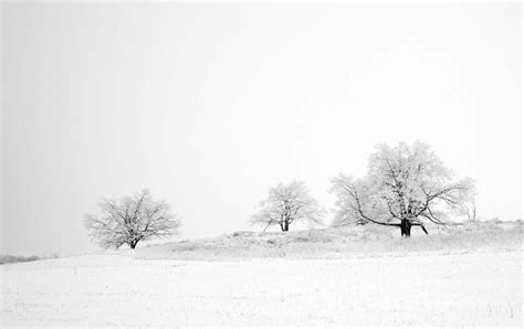 A Snowy Ridge Shenandoah National Park Ed Fuhr Photography