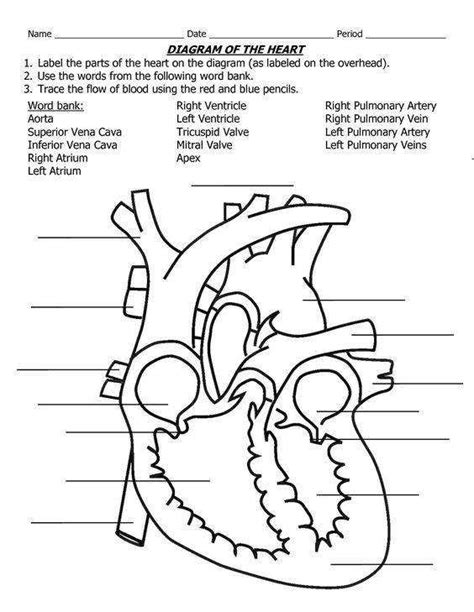 Human brain diagram outline, 4 beside that, we also come with more related ideas as follows blank heart diagram, labeled animal cell worksheet and basic atomic structure worksheet. Heart Diagram Worksheet | Homeschooldressage.com