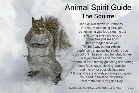 Never Knew A Squirrel Was Such A Great Sign Feel Free To Check It Out