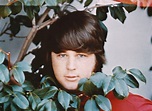 80 THINGS WE LOVE ABOUT BRIAN WILSON - The Beach Boys