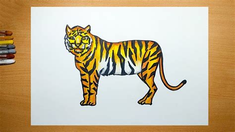 How To Draw A Tiger Walking Drawings Animal Drawings Tiger Kids