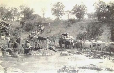 Wagons Of The Pioneer Column Crossing The Nuanetsi River In 1890