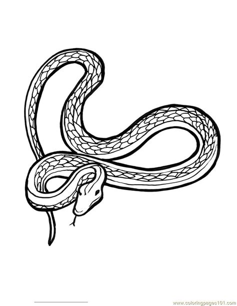 101 dalmatians coloring pages (39). Snake 11 Coloring Page - Free Snake Coloring Pages ...