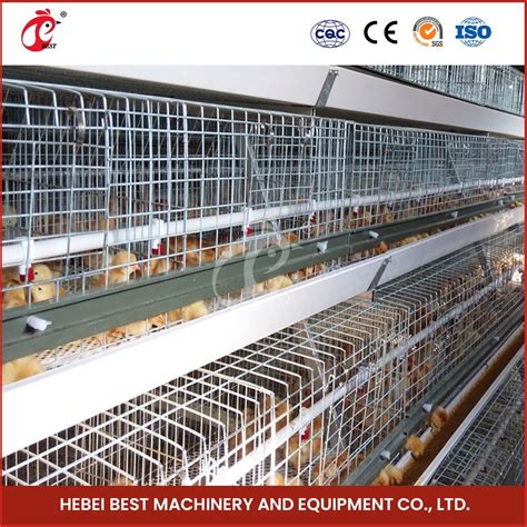 Bestchickencage China Chicken Layer Cage Design Suppliers A Frame