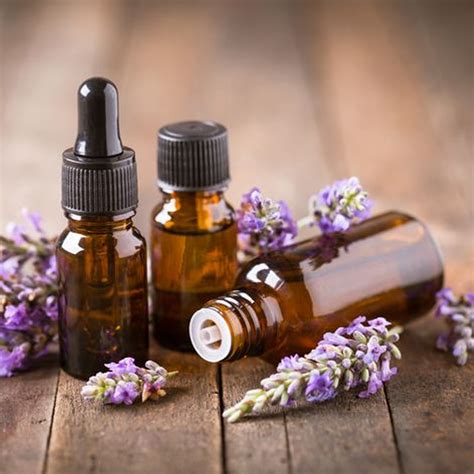 Albums 96 Pictures Pictures Of Essential Oils Excellent