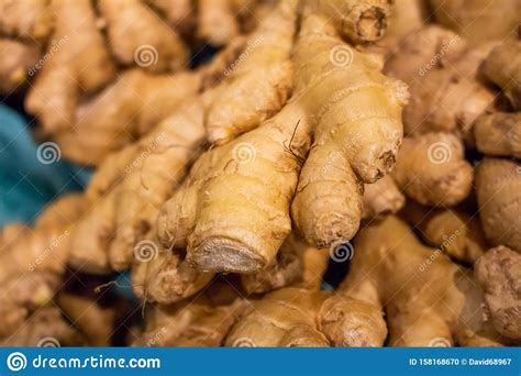 Ginger At The Store Stock Photo Image Of Garden Fresh