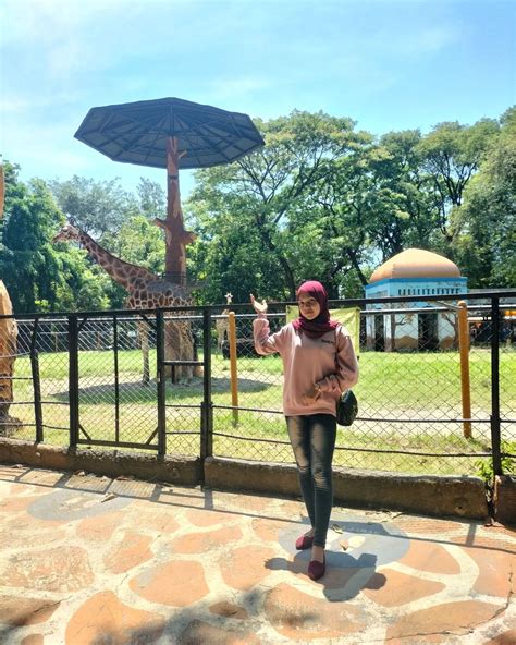 Surabaya Zoo Jenis Hewan Harga Tiket Masuk Dan Info Lainnya
