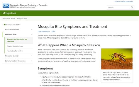 Mosquito Bite Symptoms And Treatment Mosquitoes Cdc Hot Sex Picture