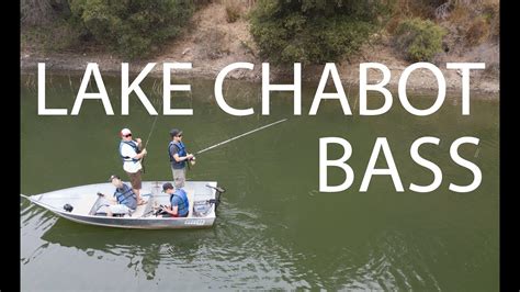 Largemouth Bass From Lake Chabot Youtube