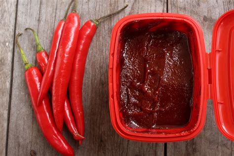 Ingredient Spotlight Gochujang