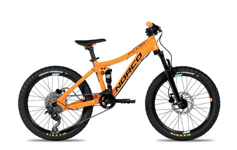 The 5 Best 20 Mountain Bikes For Kids