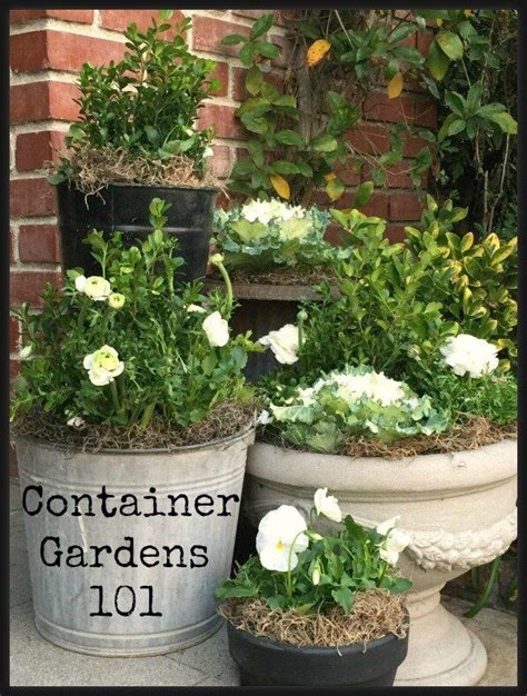Container Garden 101 For Spring — My Soulful Home Container