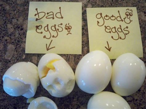 How To Tell A Hard Boiled Egg Is Bad Home Of Wallpapers