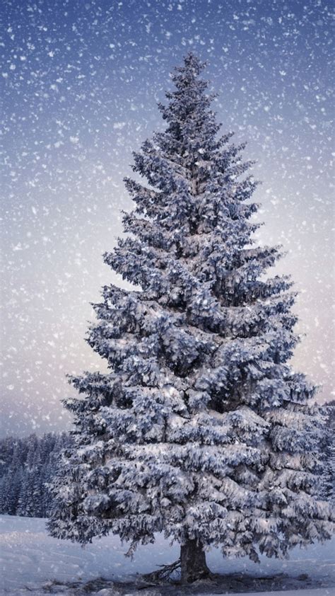 Maybe you would like to learn more about one of these? Christmas Tree Snow Wallpaper (73+ images)