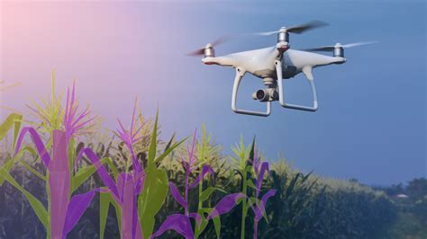 Data Annotation For Computer Vision Helps Power Next Gen Ai Agriculture