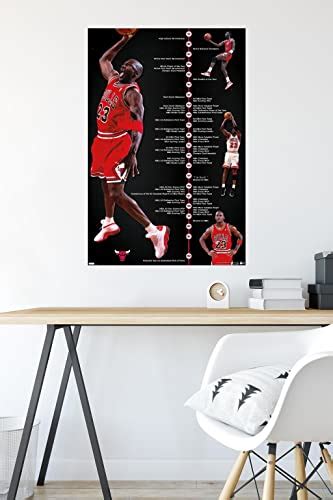 Trends International Michael Jordan Timeline Wall Poster 22375 X