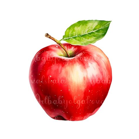 Watercolor Apple Clipart Png Fruits Clip Art Digital Download Etsy