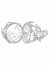 Coloring Dragon Fruit Fruits Recommended sketch template