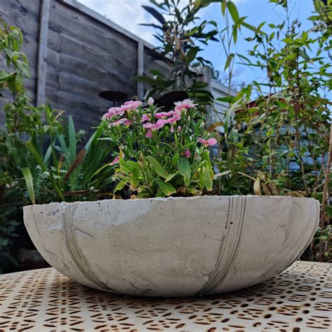 Handmade Extra Large Concrete Bowl Cement Planter Bowl Etsy