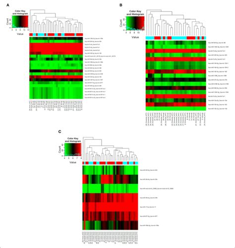 differential mirna expression according to hpt status the heatmap download scientific