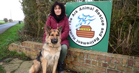 The Ark Animal Rescue Centre Is Here To Stay As Noise Complaint Is