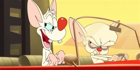Animaniacs Rob Paulsen And Maurice Lamarche Explain How Pinky And The