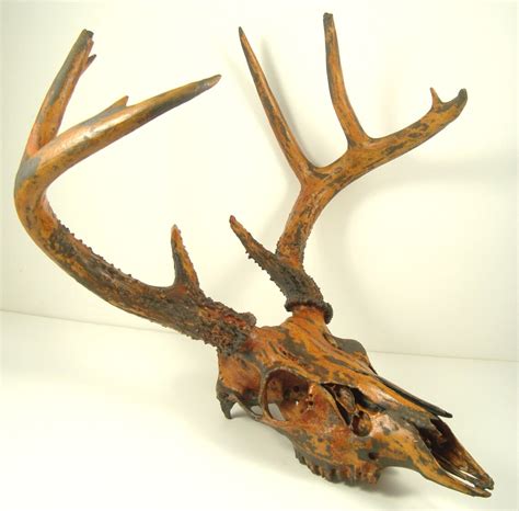 Deer Skull Taxidermy Painted Antlers Black Iron Rust Etsy