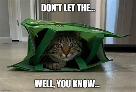 Dont Let The Cat Out Of The Bag Imgflip