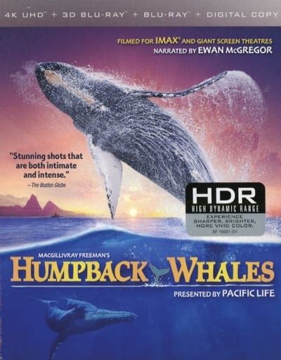 imported western blu raydisc humpback whales4k ultra hd 3d blu ray blu ray [import version