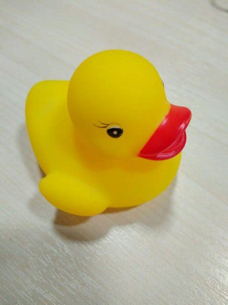 Jual Rubber Ducky Youre The One Di Lapak Ravenhaven Bukalapak