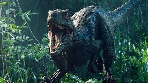 Jurassic Park E Jurassic World Ordem Certa E Onde Assistir Filmes